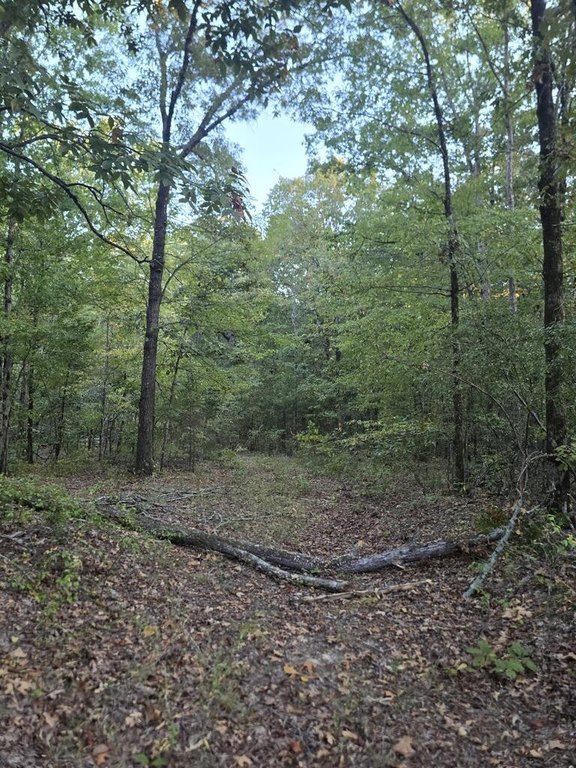 Picture 4