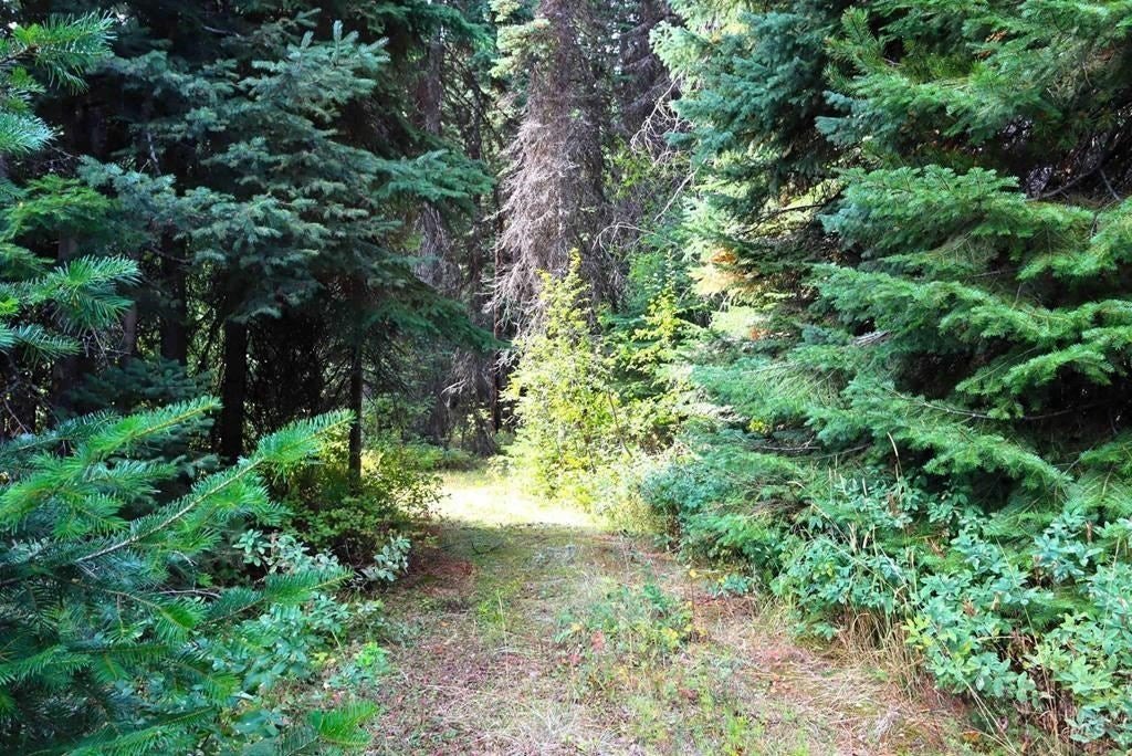 Picture 16