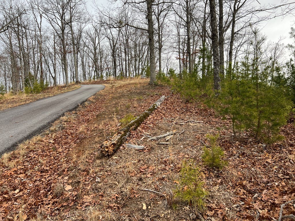 Picture 18