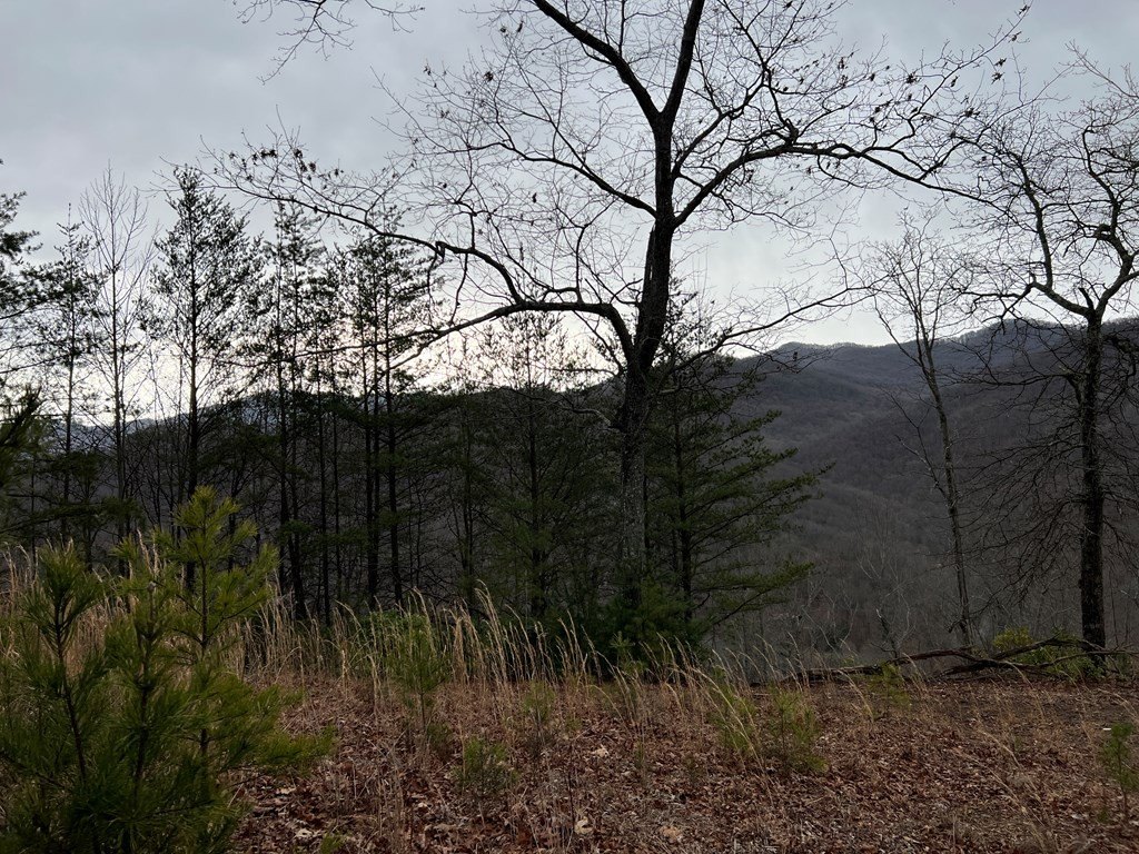 Picture 10