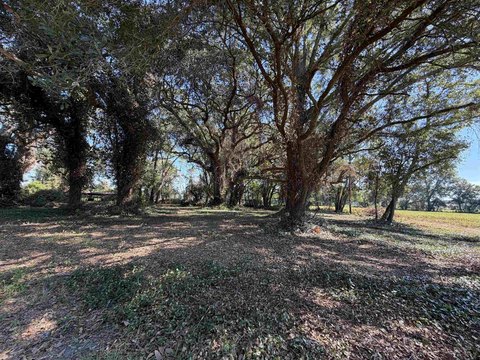 LAND, Kingstree, SC