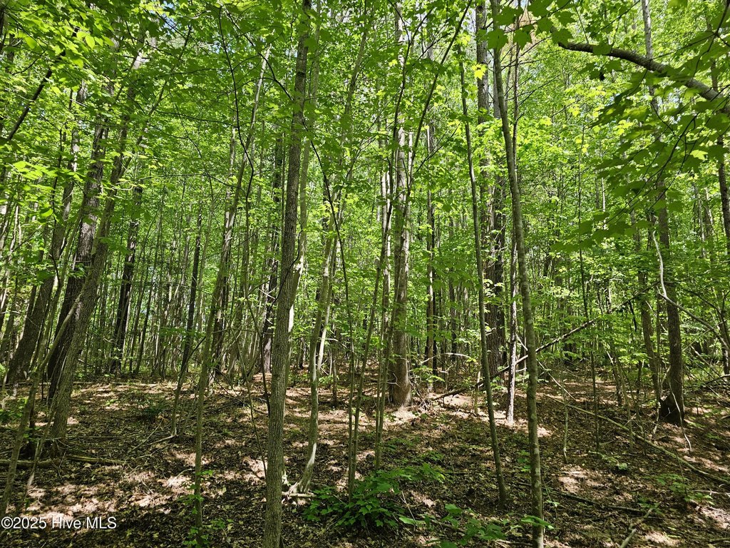 Picture 21