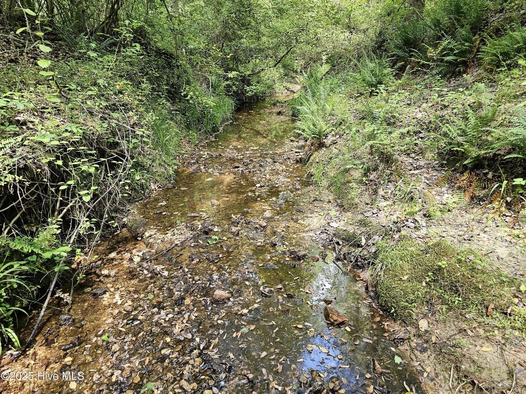 Picture 20