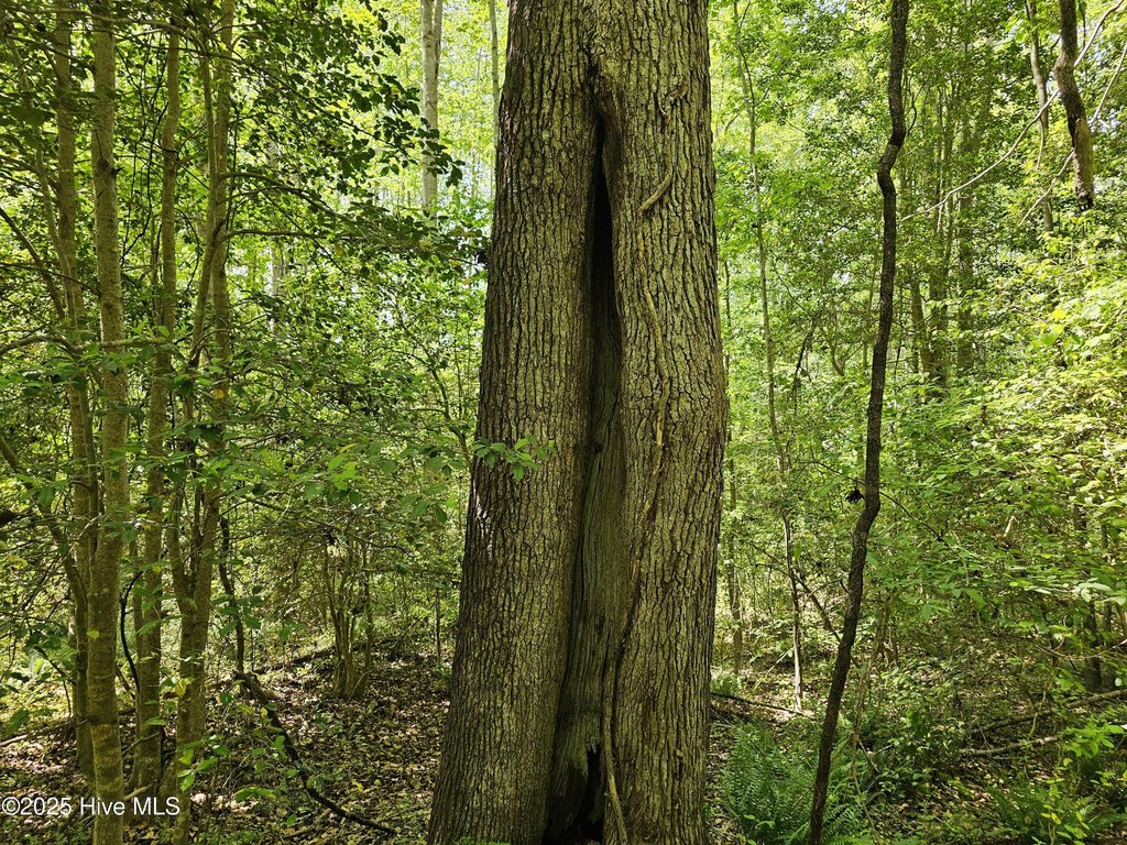 Picture 24