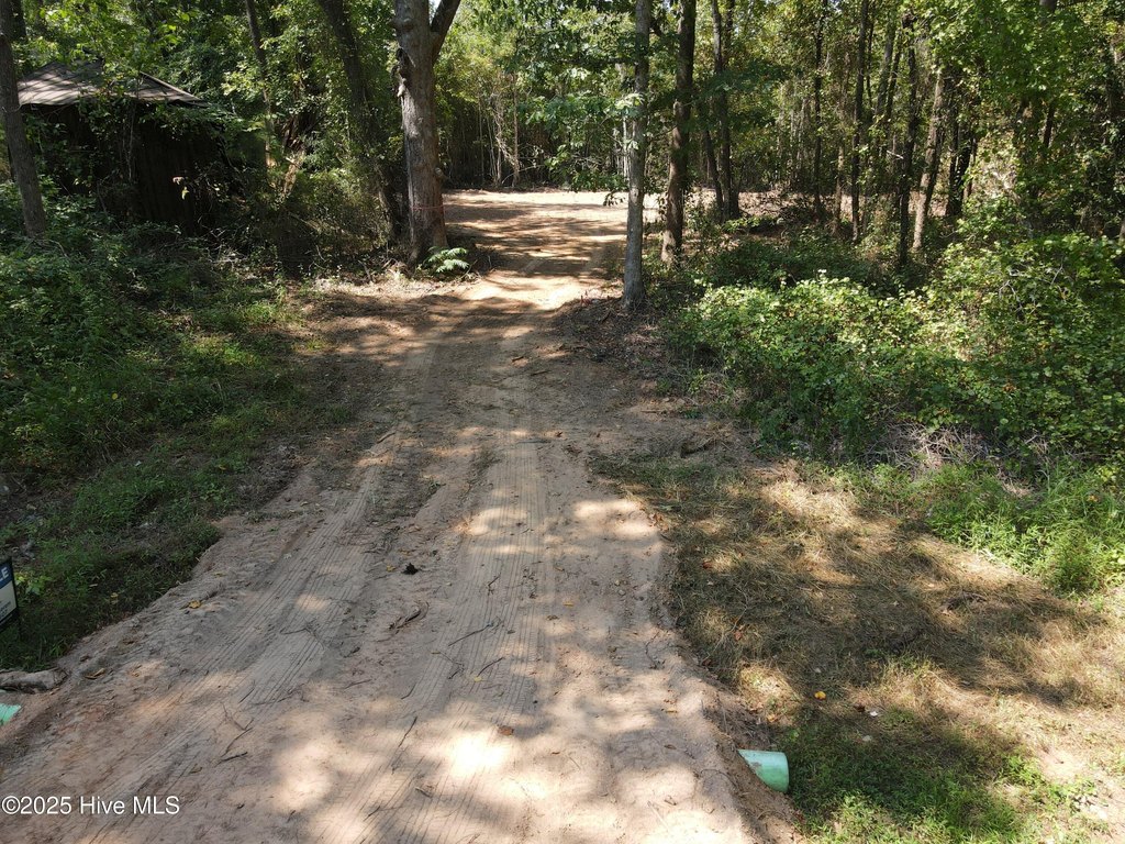 Picture 6