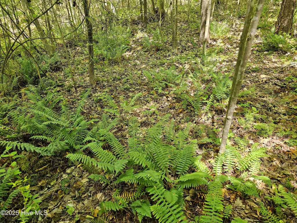 Picture 16