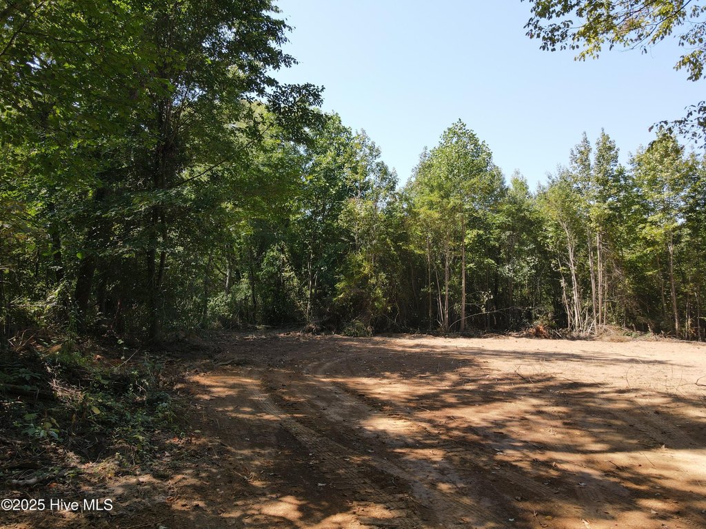 Picture 9