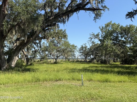 LAND - Shellman Bluff, GA