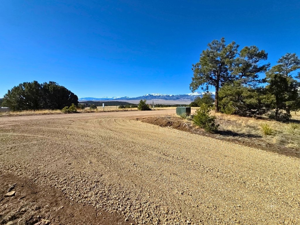 Picture 21