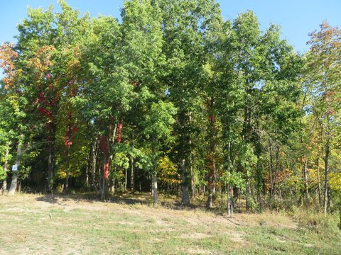 Kentwood Land with Creek Frontage