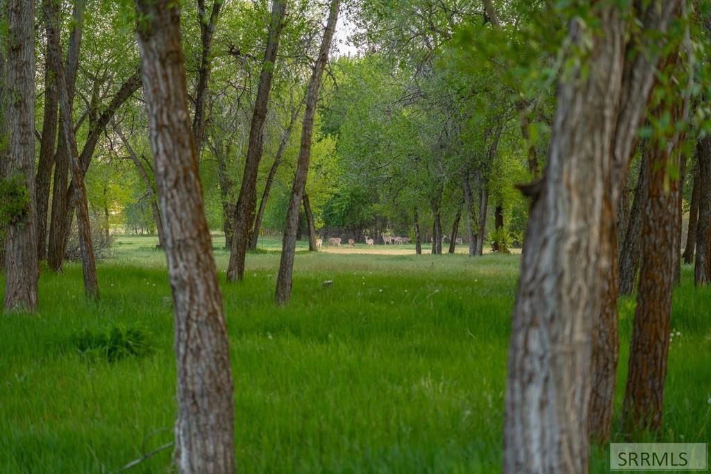 Premium Rigby Homesite Opportunity