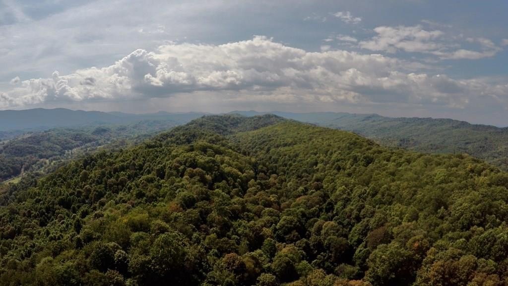 Tazewell Hunting Land For Sale
