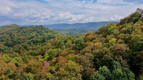 Prime Hunting Land in Tazewell
