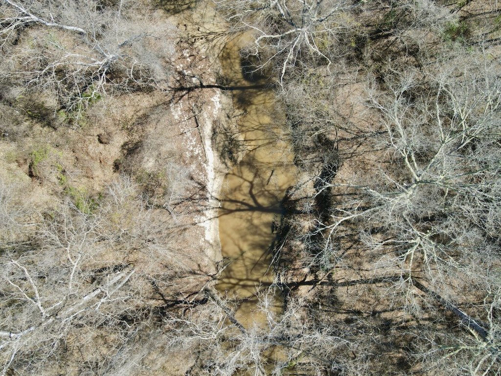 Picture 38