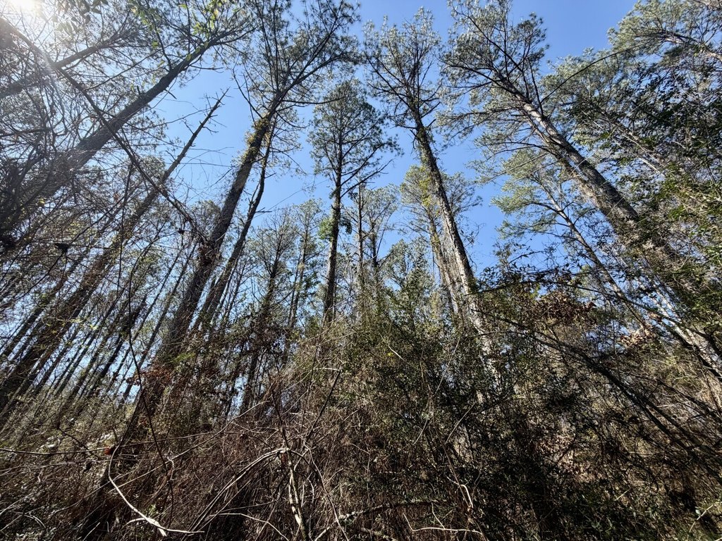 Picture 12