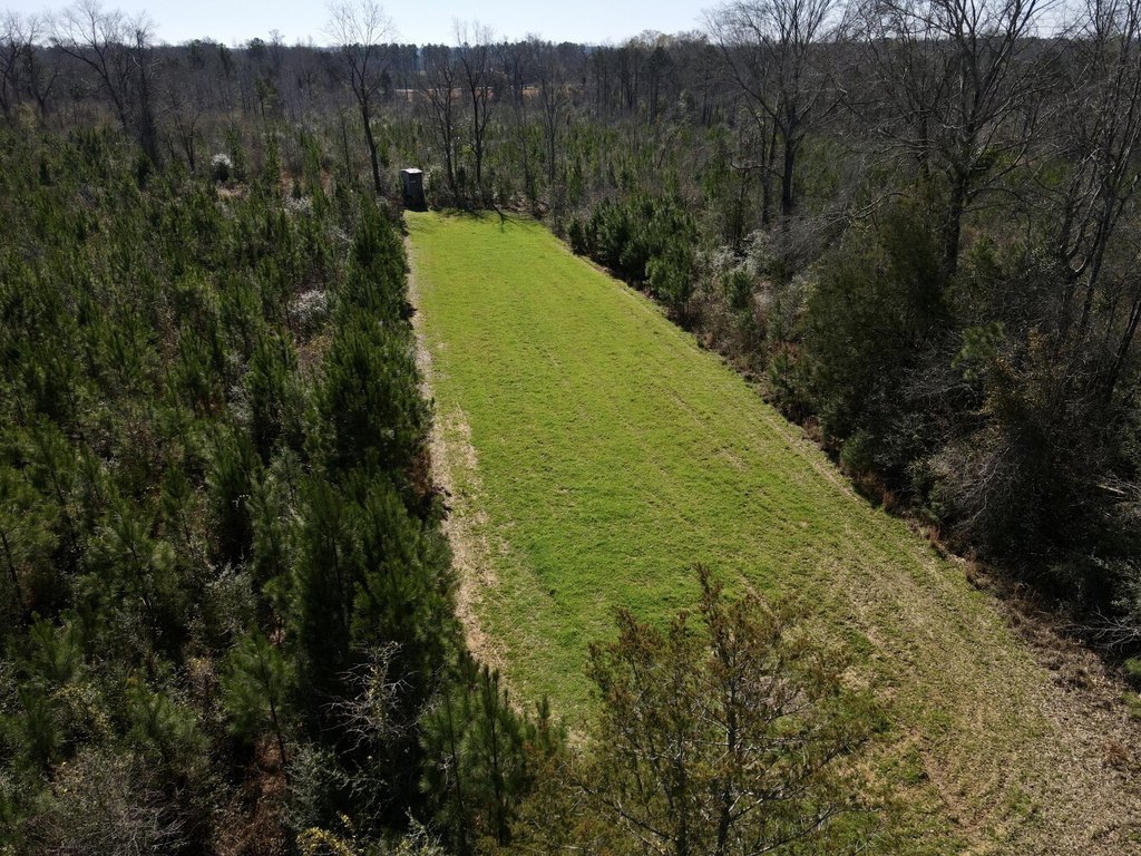 Picture 48