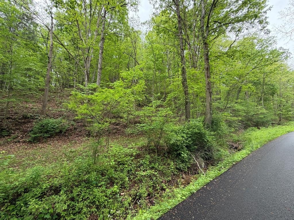 34 Acres of Wooded Land