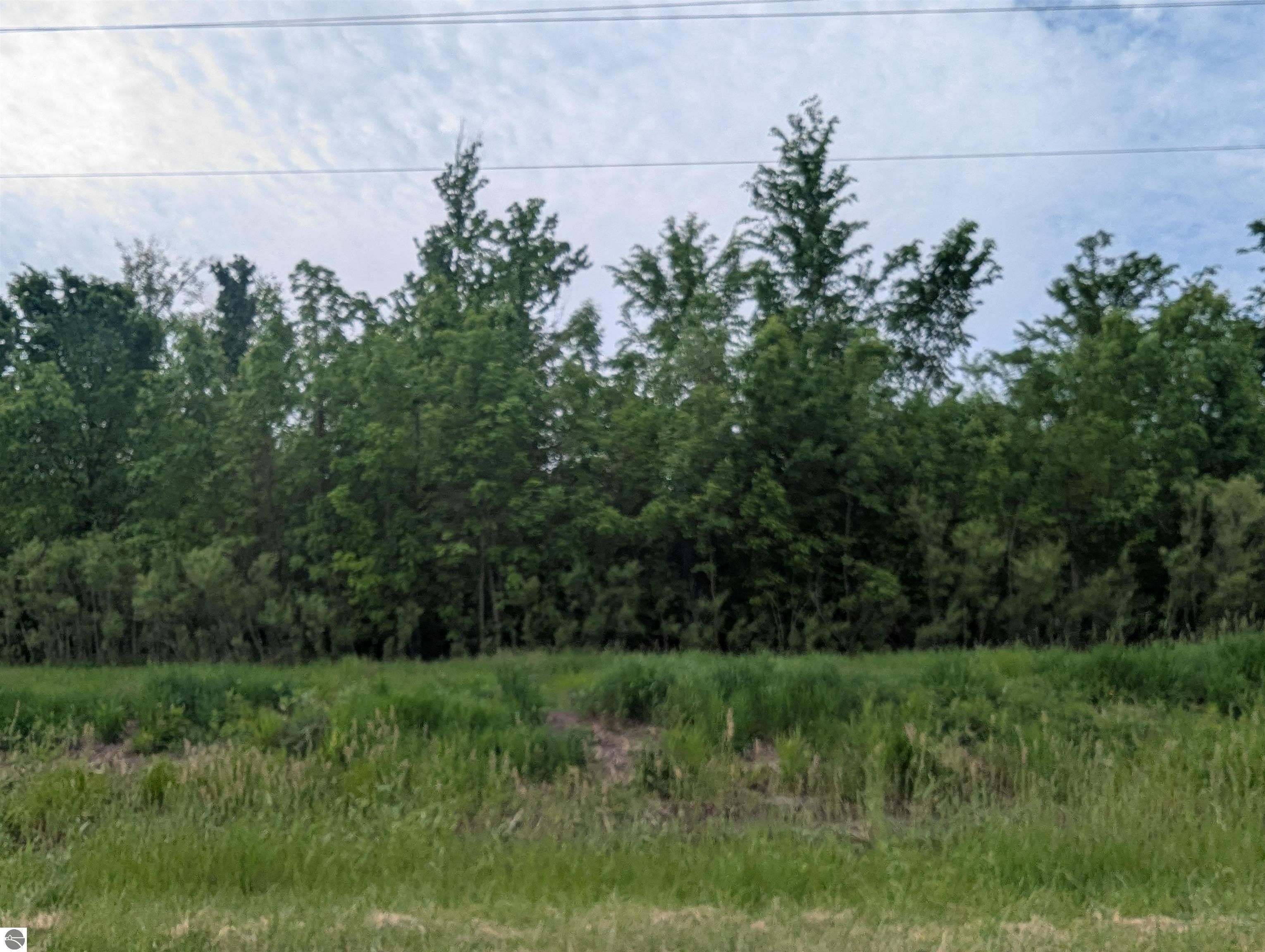 40 Acres Wooded Land For Sale