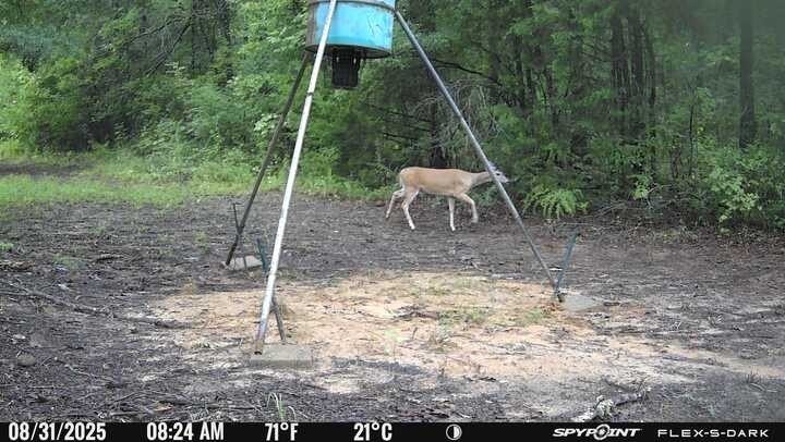 Picture 8