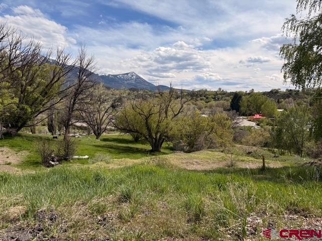 Land For Sale, Paonia, CO