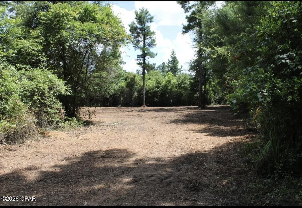 Picture 5