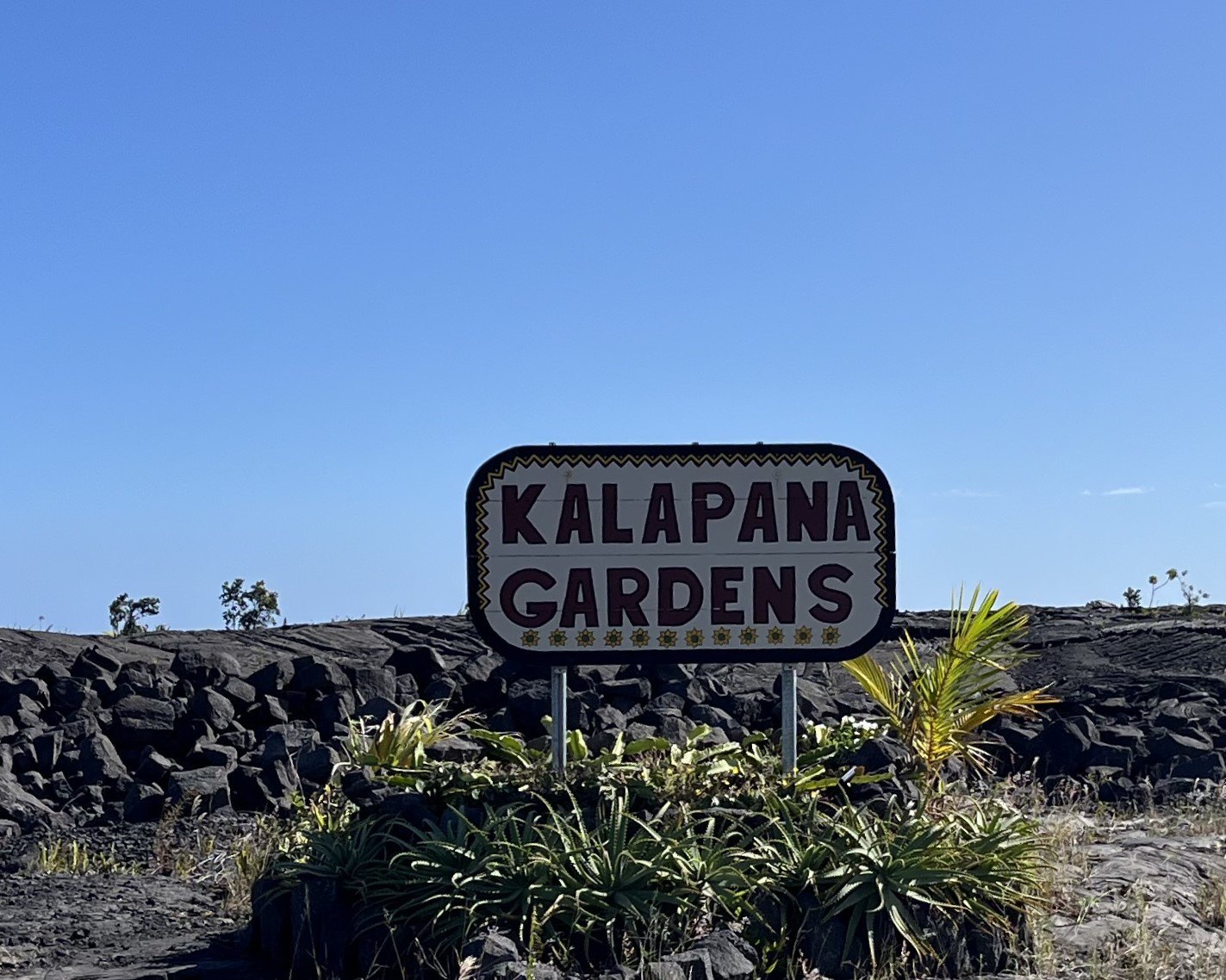 Pahoa Land with Mountain Views