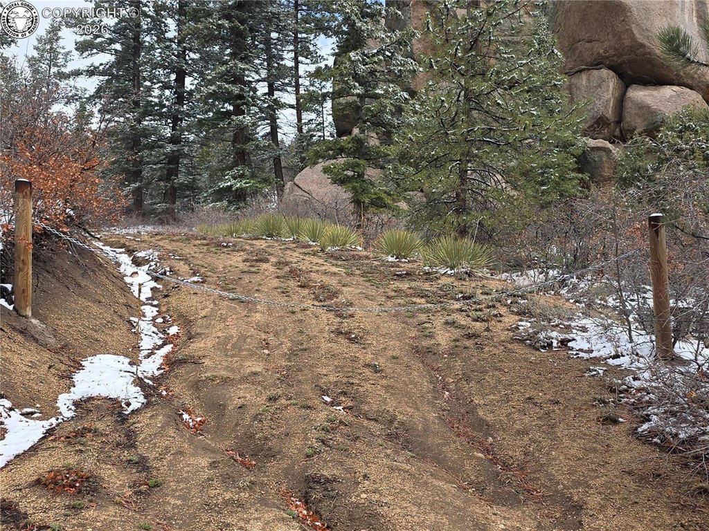 Picture 3