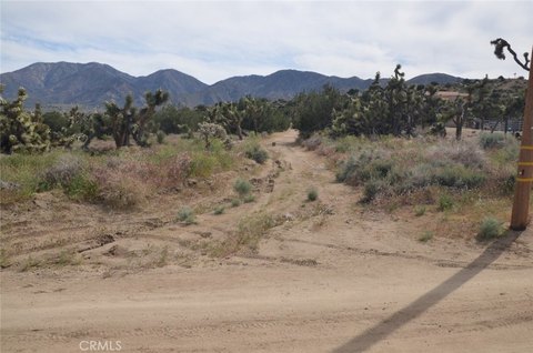 Juniper Hills Acreage Opportunity