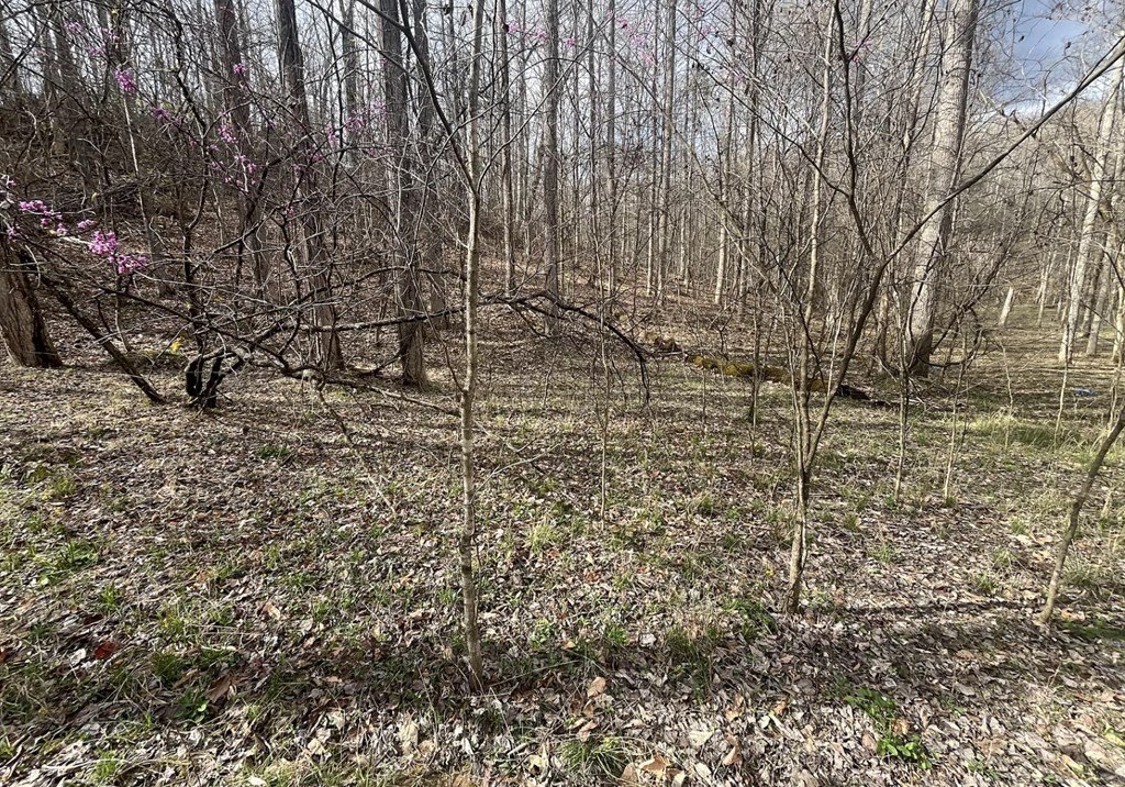 Picture 9