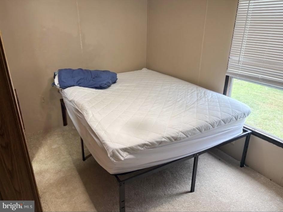 Picture 27