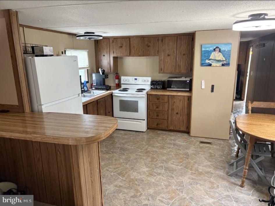 Picture 28