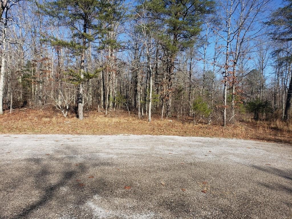 Residential Lot in Long Branch