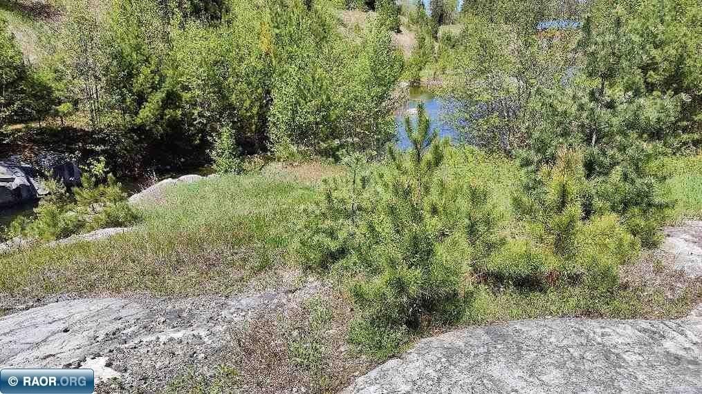 Picture 13