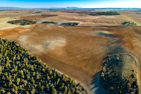Ranch Land with On-Grid Power