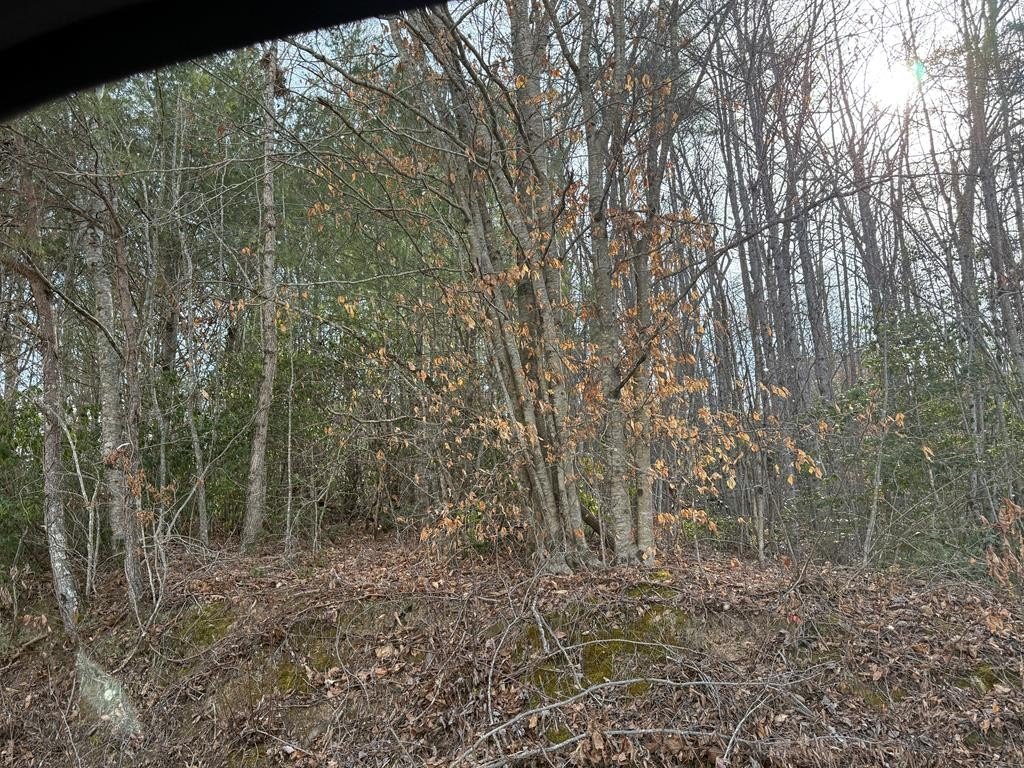 Picture 3