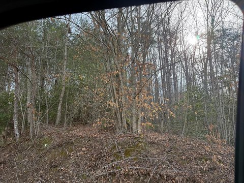 LAND - Murphy, NC