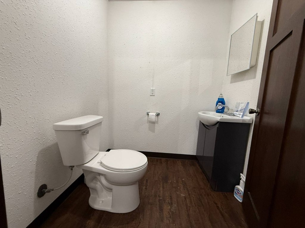Picture 5