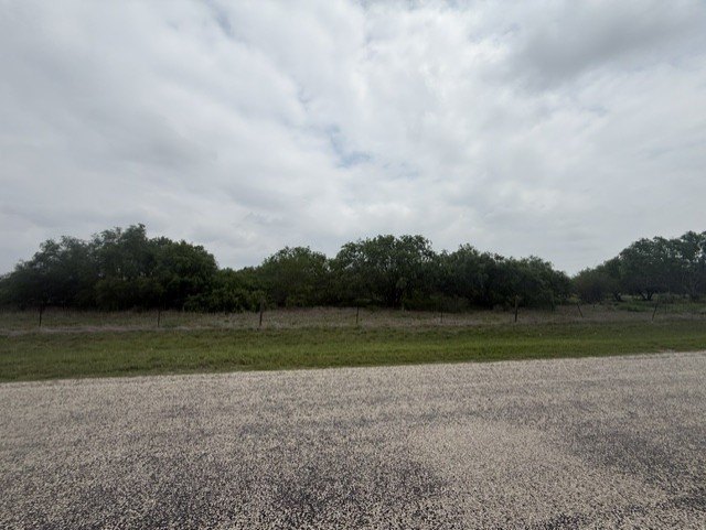 Expansive Vacant Lot in Mathis