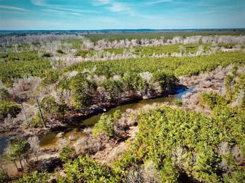 Recreation Land Tract with Timber