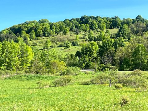 Vacant Country Land Parcel