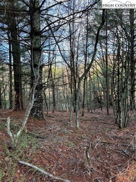 Land in Laurel Springs, NC