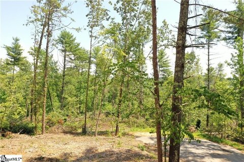 Land in Keowee Vineyards