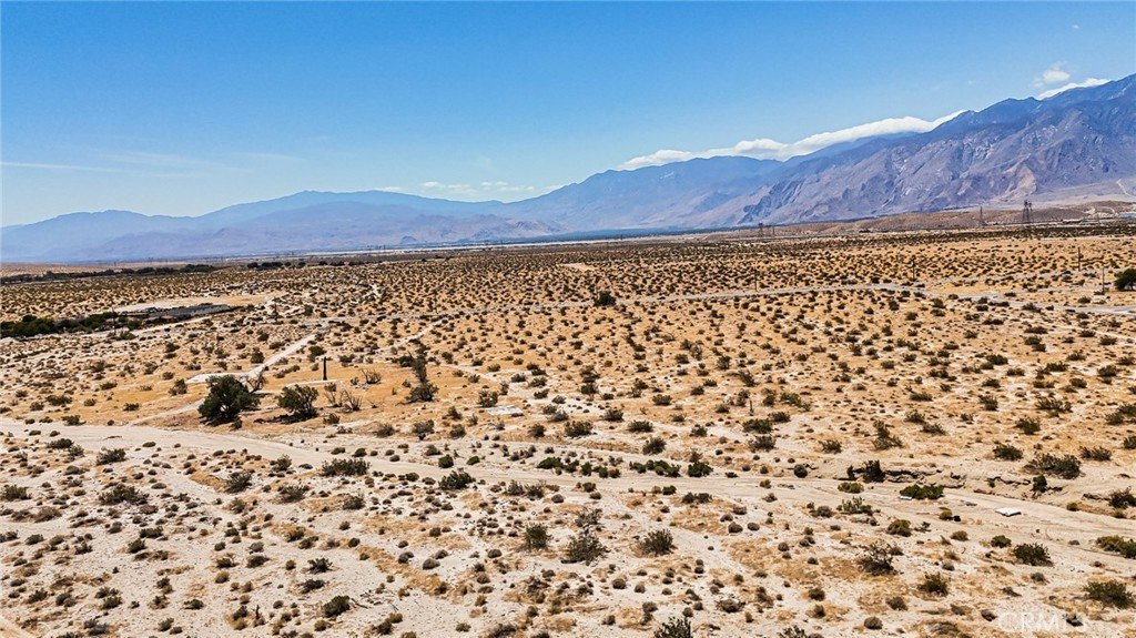 Picture 19