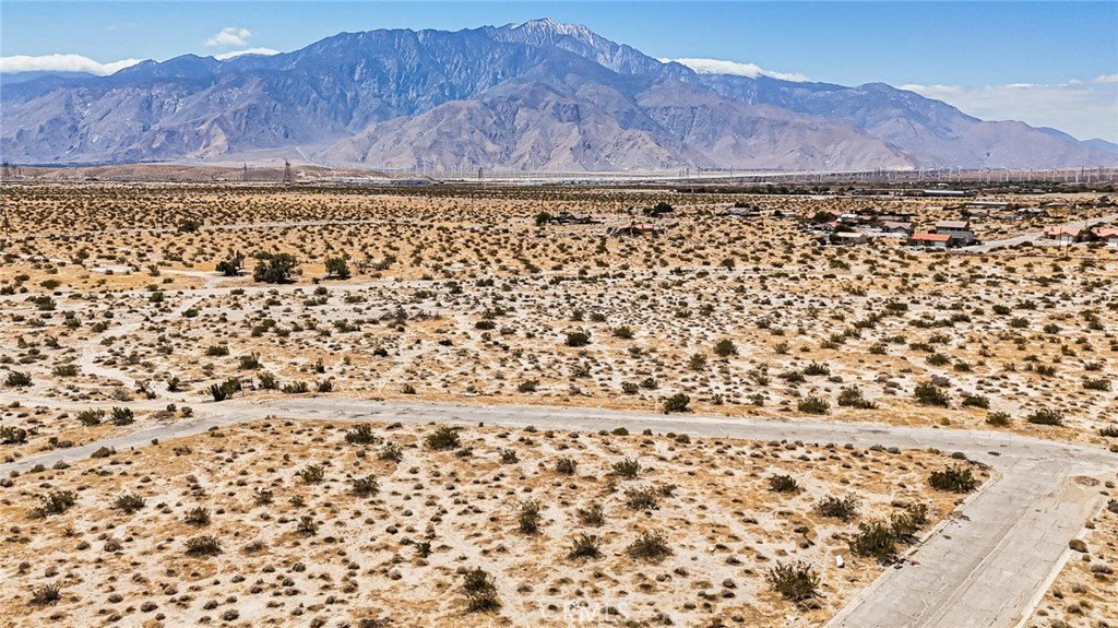 Picture 23
