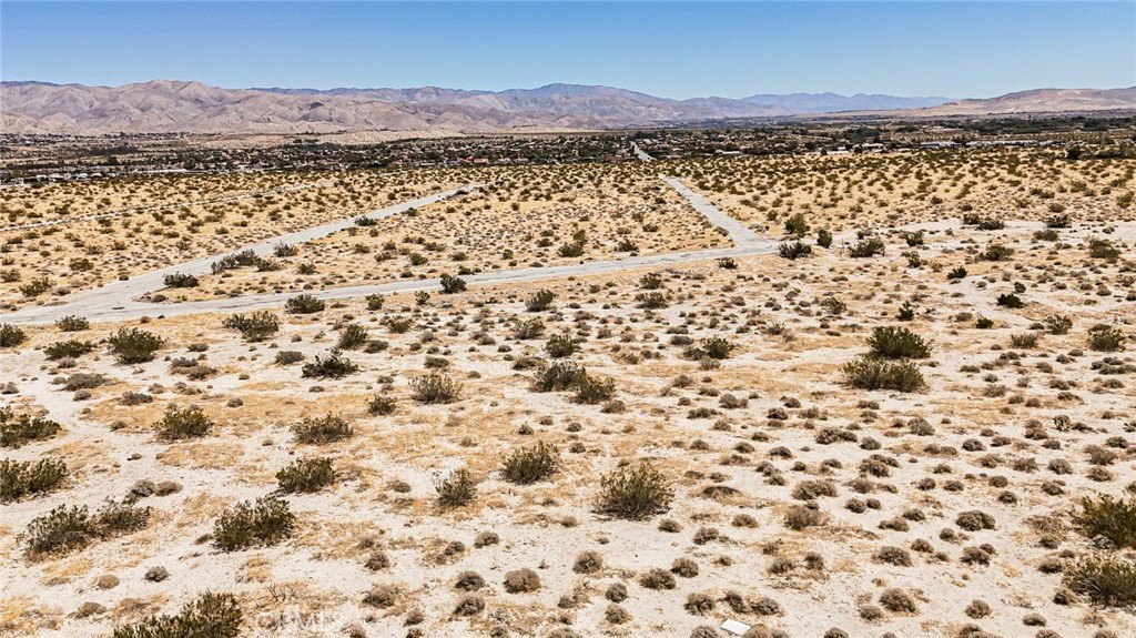 Picture 15