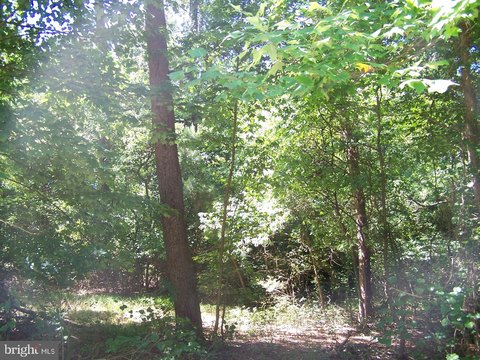 Seaford, DE Wooded Acre Land