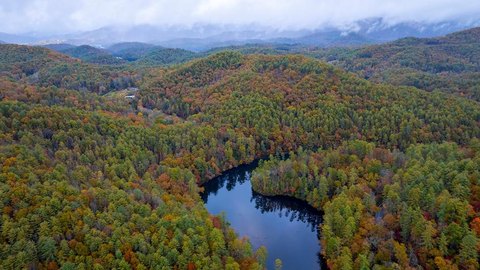 Heavily Wooded Land Near USFS