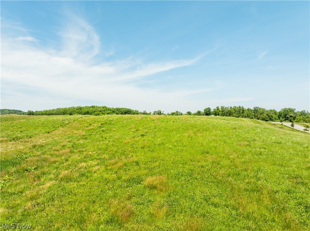 Picture 45