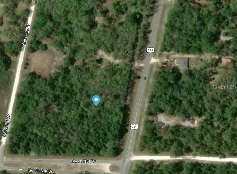 Prime Land with US 301 Frontage