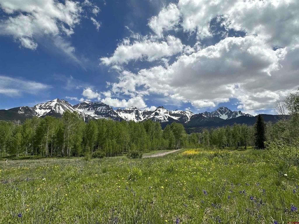 Picture 9